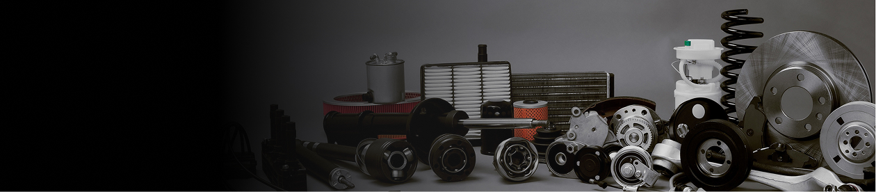 Tenemos todo lo que necesitas para tu vehículo