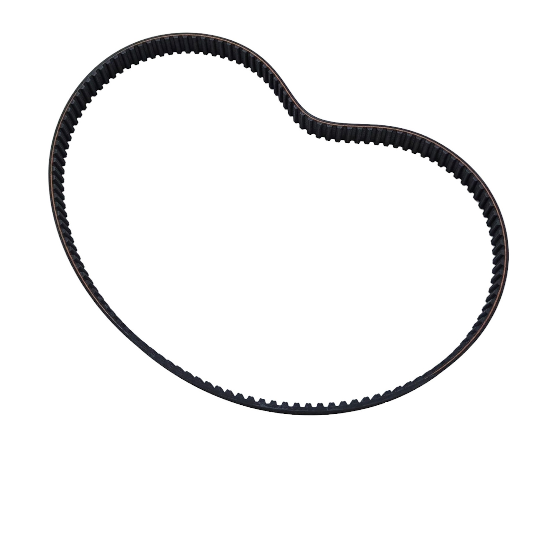 Correa Distribuciòn 124X22 Fiat Siena 2005 al 2007