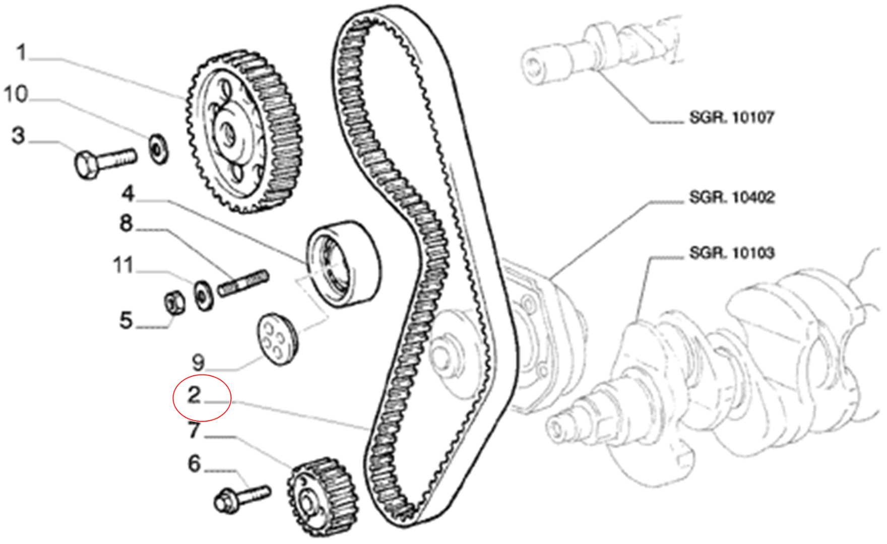 Correa Distribucion 129X22 Fiat Palio Weekend 2014 al 2020 - Imagen 2